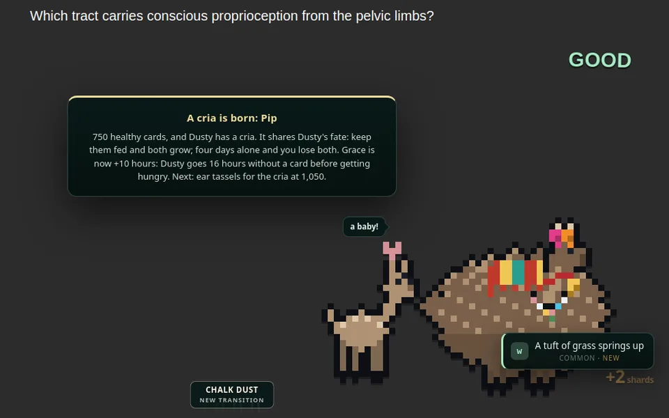 Alpaca Ranch: after a Good answer, a pixel-art alpaca has a cria, and a card announces the birth.