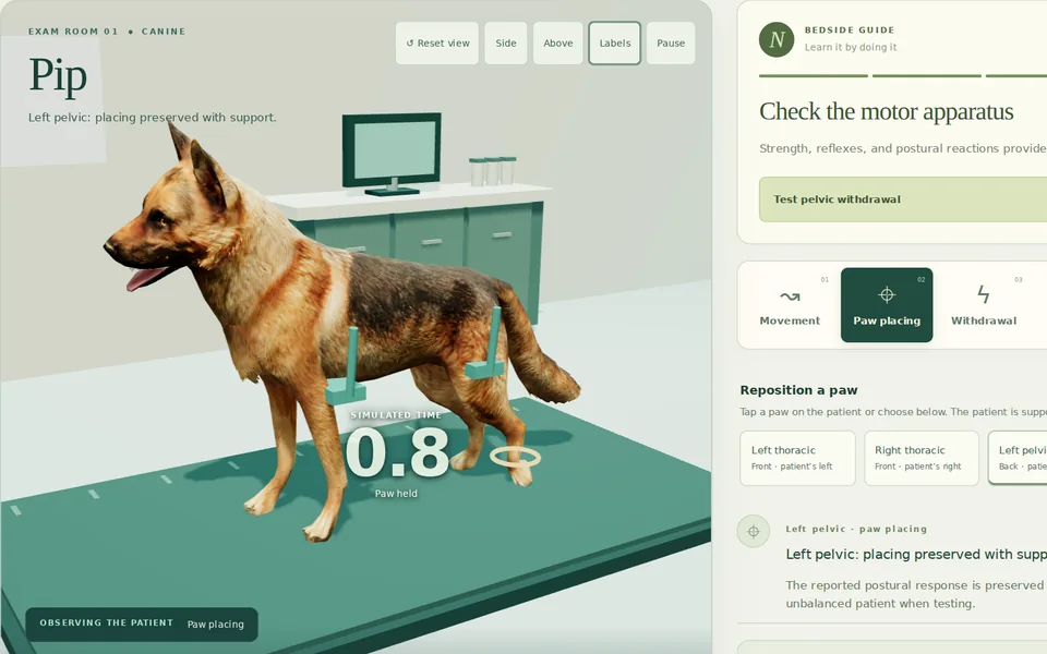Testing paw placing on Pip, a 3D German shepherd in the exam room, with the bedside guide beside him.